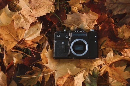 Podzim na Sicílii: Historie, Festivaly a Příroda Bez Davů