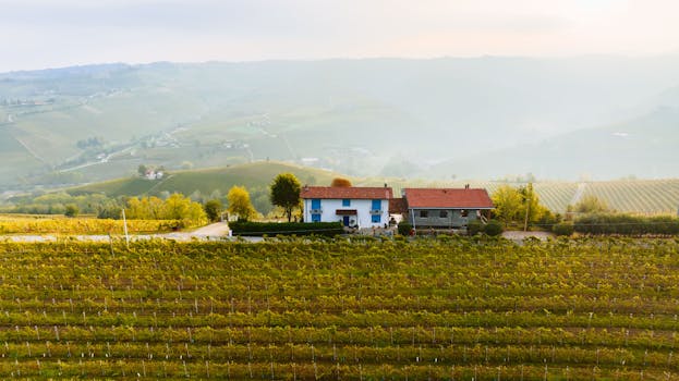 Podzim v Piemontu: Vinobraní, Festivaly a Nádherná Příroda